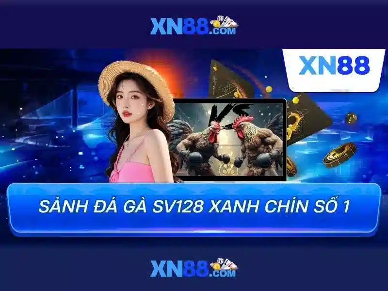 Xn88: một cái nhìn tổng quan về nền tảng và cộng đồng
