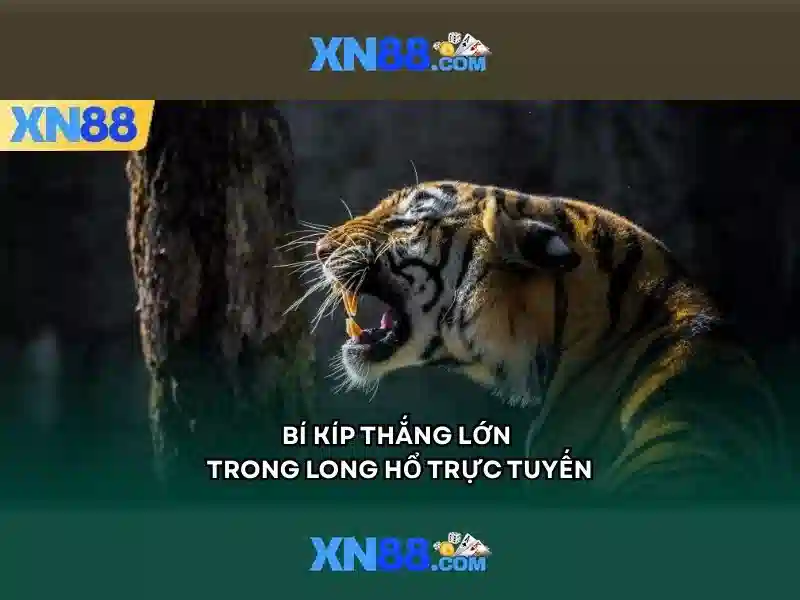 XN88 - một cái nhìn tổng quan về nền tảng trò chơi trực tuyến