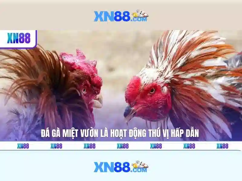 xn88 - Nền tảng trò chơi trực tuyến toàn diện