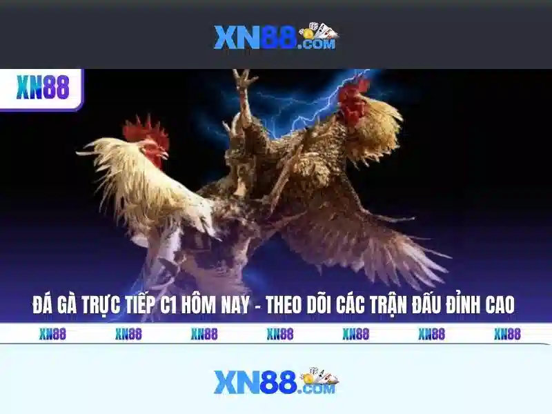 https://xn88s.jp.net/images/text/xn88/xn88-text260312910.webp