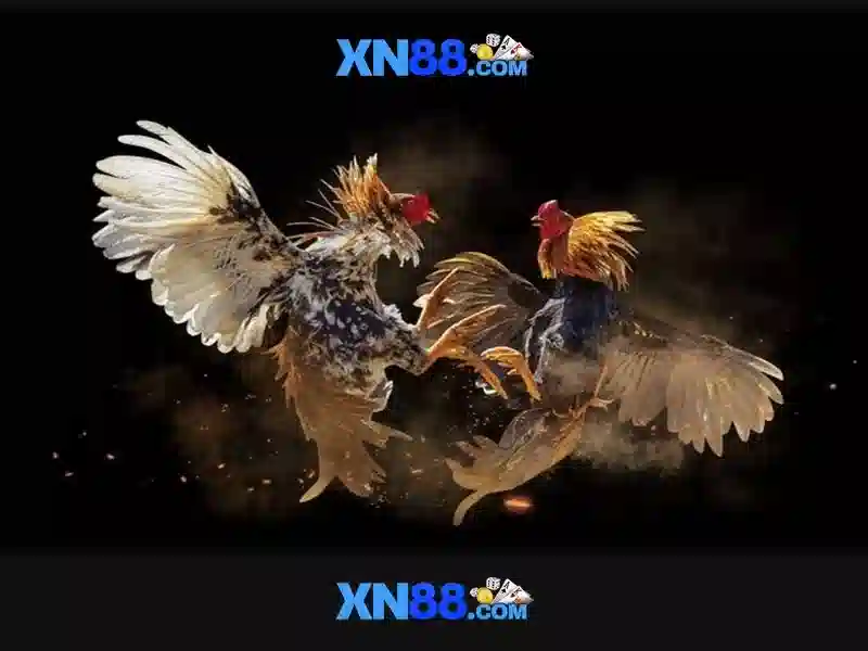 xn88: Tổng quan về nền tảng sòng bài trực tuyến