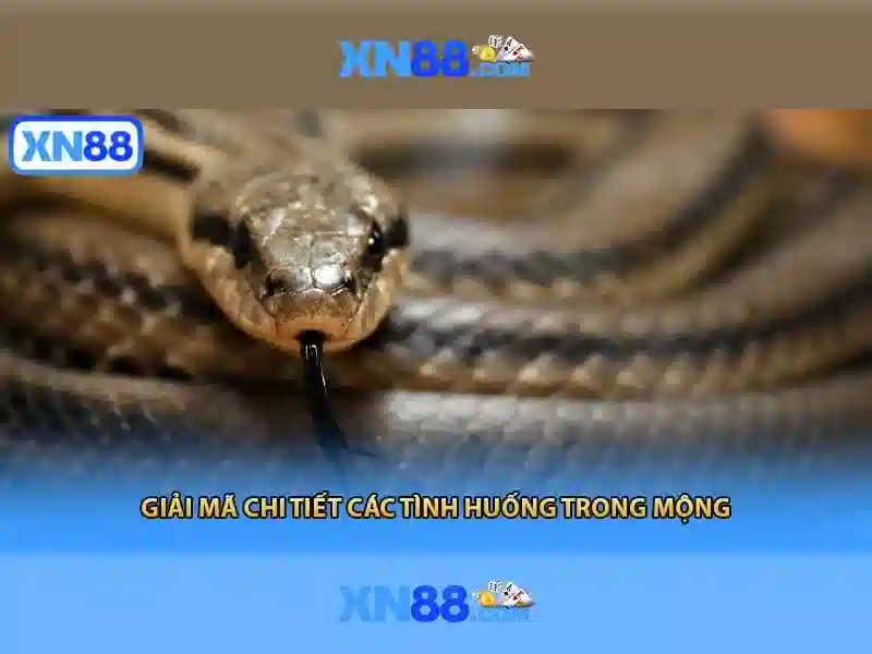 xn88: Một cái nhìn tổng quan về nền tảng giải trí và trò chơi trực tuyến