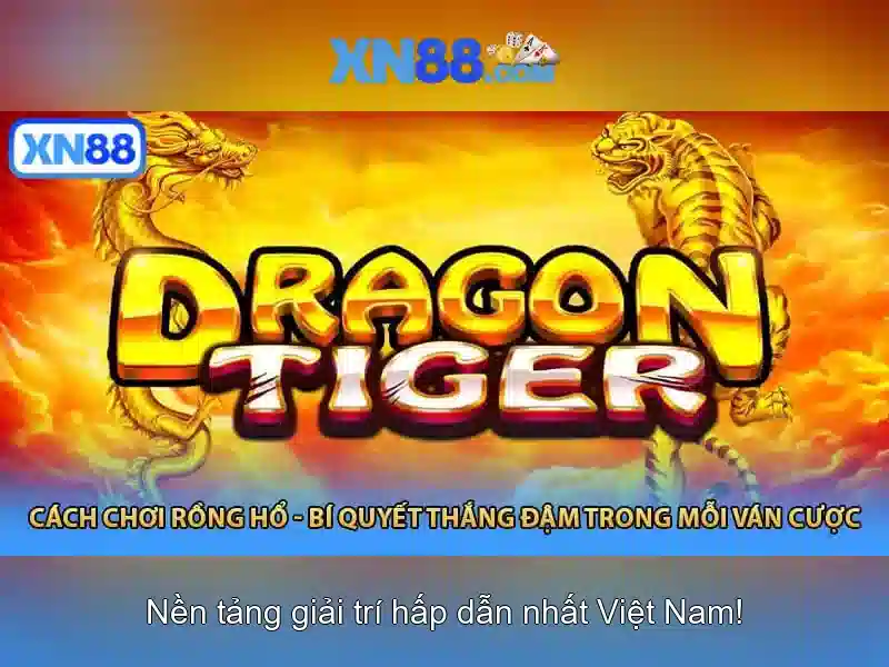 Xn88: Tổng quan về một nền tảng và cộng đồng