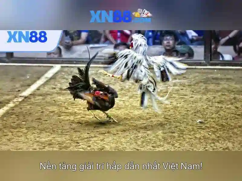 xn88 android xn88 – Trải nghiệm và thương hiệu