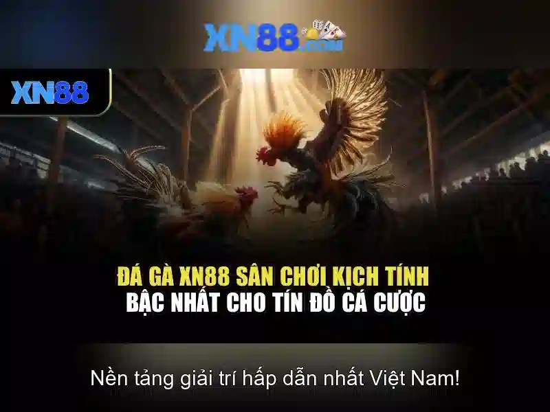 Khám phá xn88: nền tảng giải trí trực tuyến hàng đầu