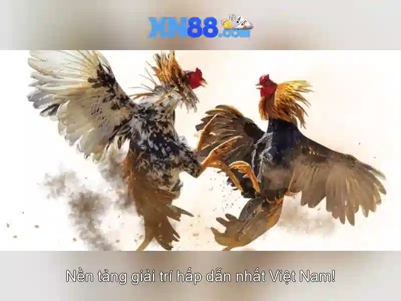 xn88: nền tảng cược trực tuyến và những điều cần biết