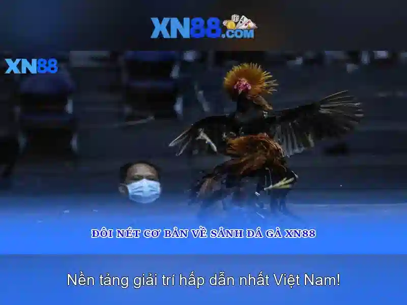 xn88: Nền tảng trò chơi trực tuyến phổ biến và những điều bạn cần biết