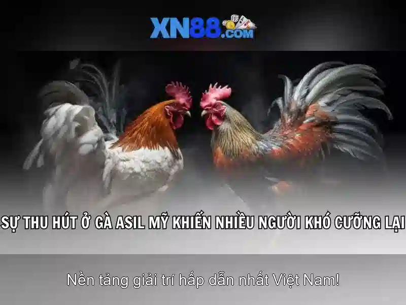 xn88: Tổng quan và trải nghiệm người chơi
