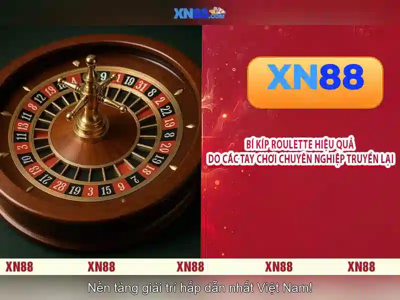 xn88 là gì và tại sao được chú ý