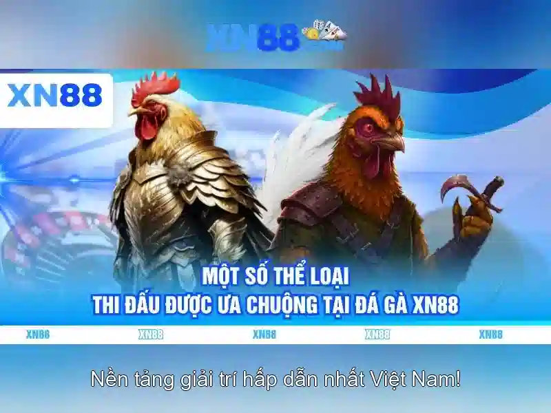 xn88: một cái nhìn tổng quan về nền tảng trực tuyến nổi bật