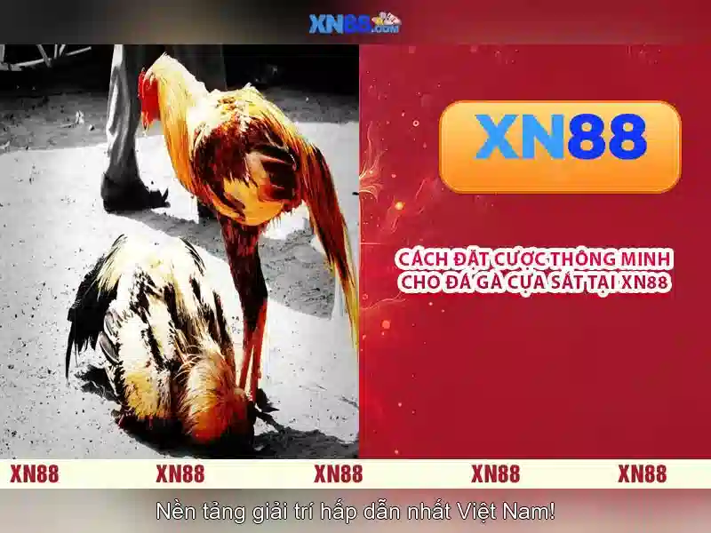 XN88: Tổng quan và hướng dẫn chơi có trách nhiệm