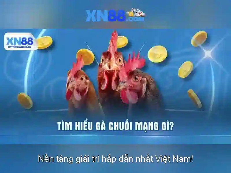 xn88 - Tổng quan về nền tảng cược trực tuyến