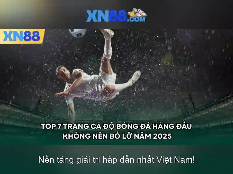 XN88: Nền tảng giải trí trực tuyến và tiềm năng
