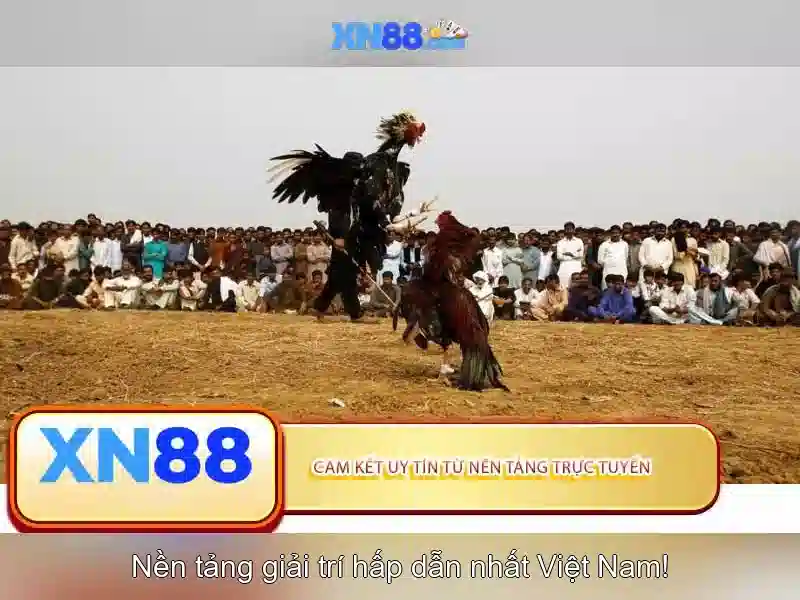 xn88: Khám phá nền tảng giải trí trực tuyến