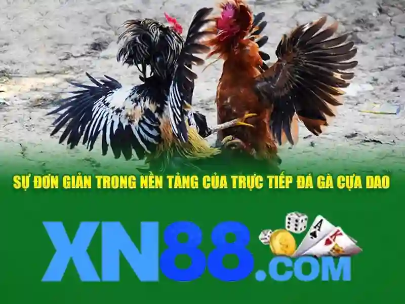 https://xn88s.jp.net/images/text/xn88/xn88-text961.webp